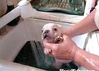 Cute Alert: Pup Takes a Bath